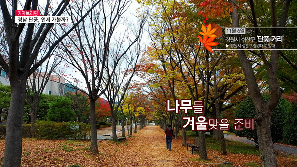 [기자브리핑] SNS에 속지 마세요! 직접 가본 '경남 단풍 명소'