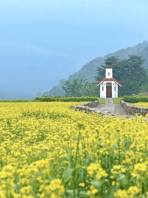 홍천 무궁화 수목원 봄 풍경