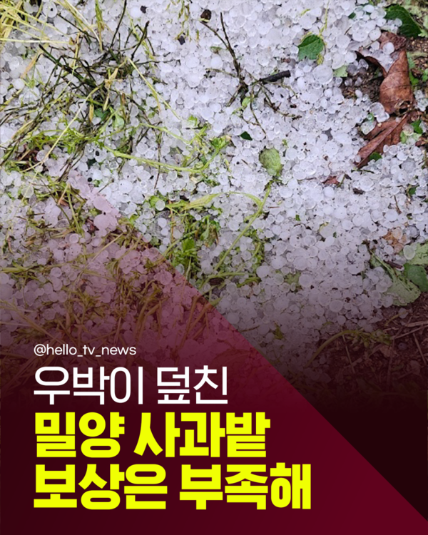 [카드뉴스] 