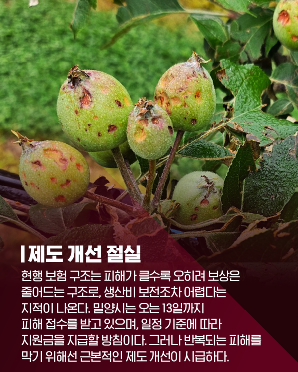 [카드뉴스] 