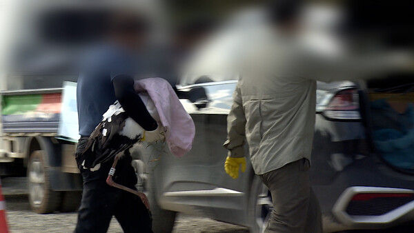 LG헬로비전 자료화면. 재판매 및 DB금지