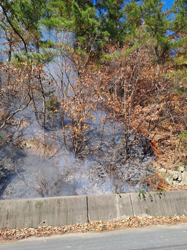 지난 19일 경북 의성 산불 (제공: 산림청)