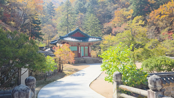 천년의 불교문화와 지역의 역사를 품은 정암사가 개별 문화유산을 넘어 사찰 전체의 가치를 인정받을 수 있을지 주목됩니다.