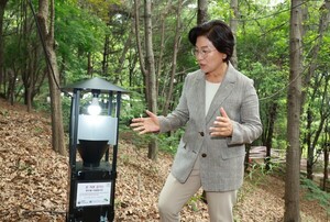은평구, <b>러브버그 친환경 방제</b> 총력