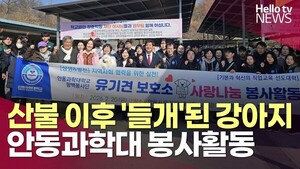 산불 이후 유기견 급증...안동과학대 반려동물케어과 유기동물보호소 봉... - 뉴스 썸네일 이미지